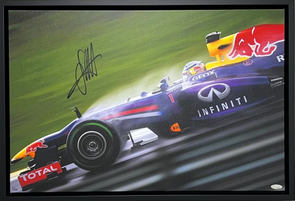 Sebastian Vettel Signed F1 Red Bull memorabilia
