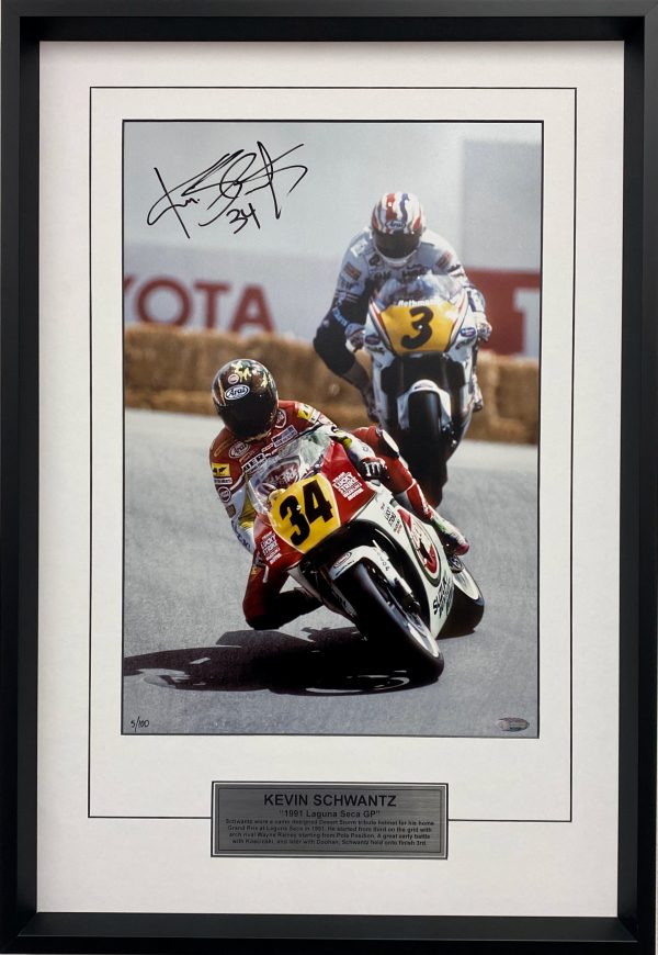 Schwantz 1991 Laguna