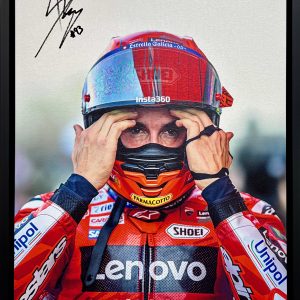 marc portrait canvas